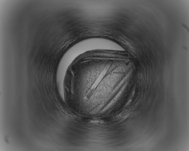 X0000097810415200803281103