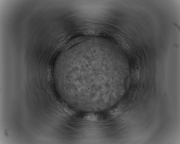 X0000097810416200803281103