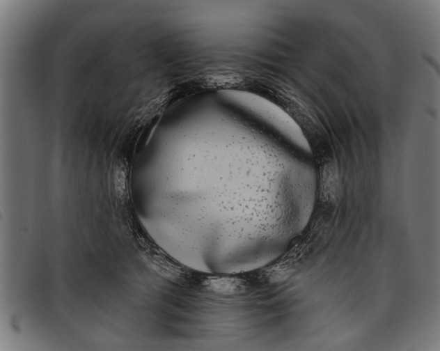 X0000097810417200803281103