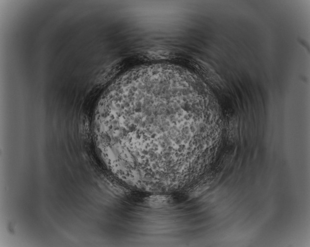 X0000097810418200803281103