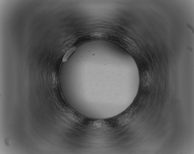 X0000097810420200803281103