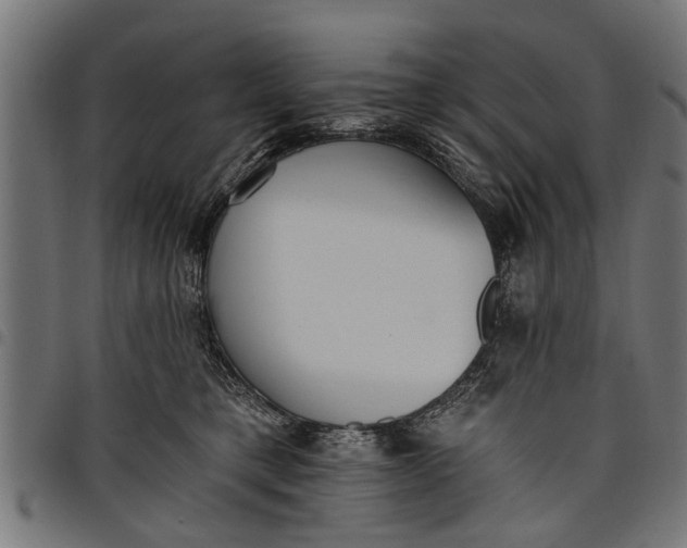 X0000097810421200803281103