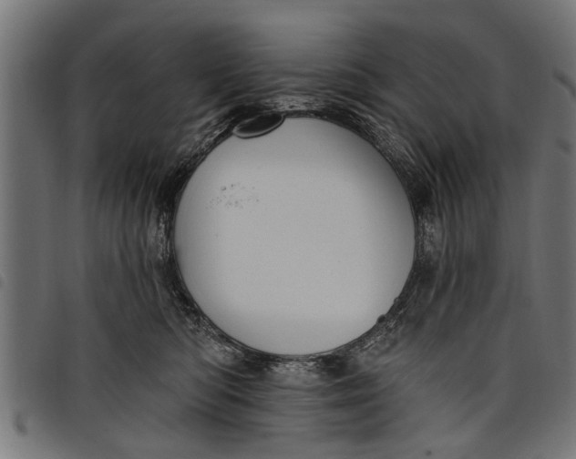 X0000097810422200803281103