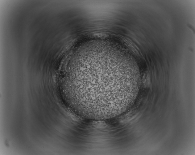 X0000097810424200803281103