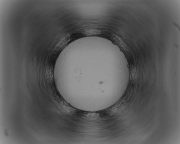 X0000097810426200803281103