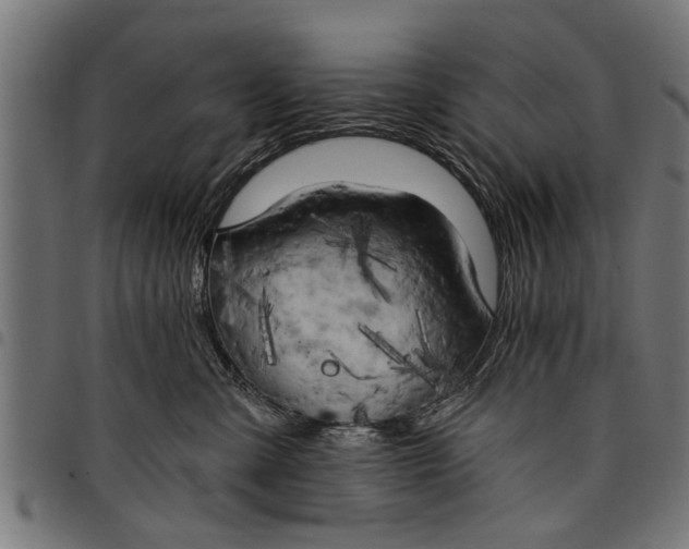 X0000097810427200803281103