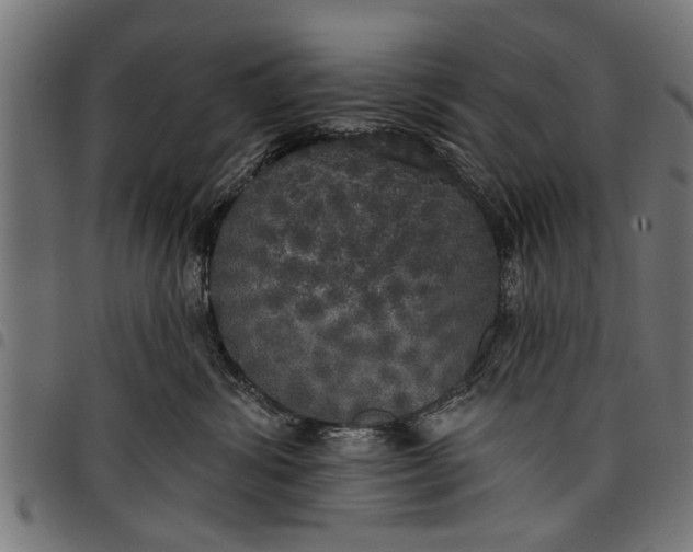 X0000097810428200803281102