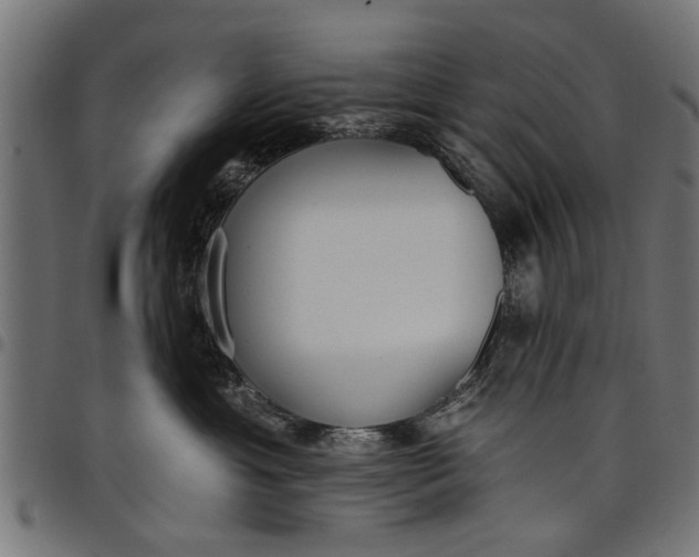 X0000097810429200803281102