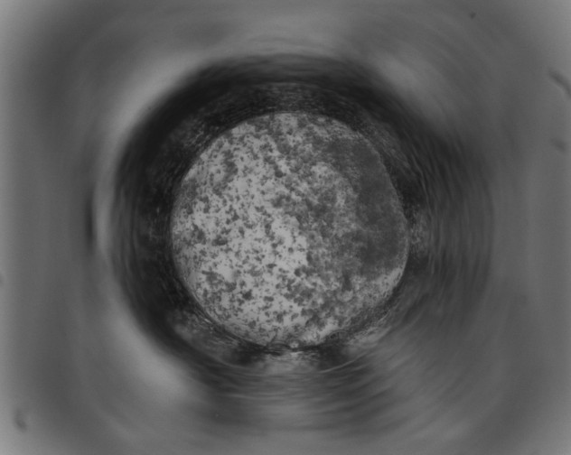 X0000097810430200803281102