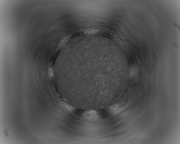 X0000097810431200803281102