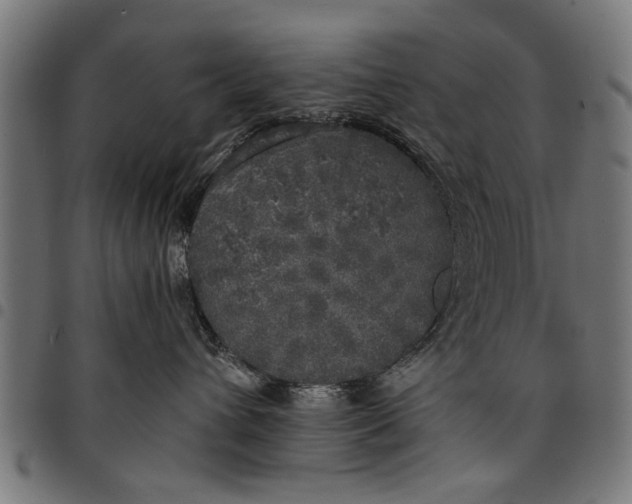 X0000097810432200803281102