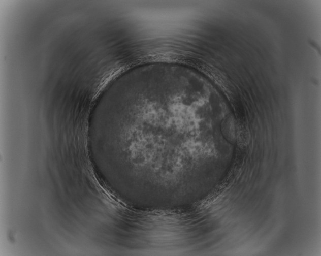 X0000097810434200803281101