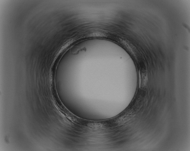 X0000097810435200803281101