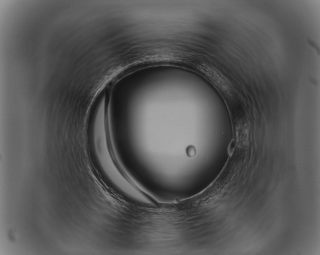 X0000097810436200803281101