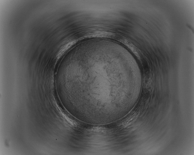 X0000097810437200803281101