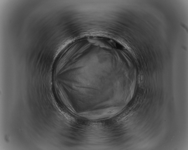 X0000097810438200803281102