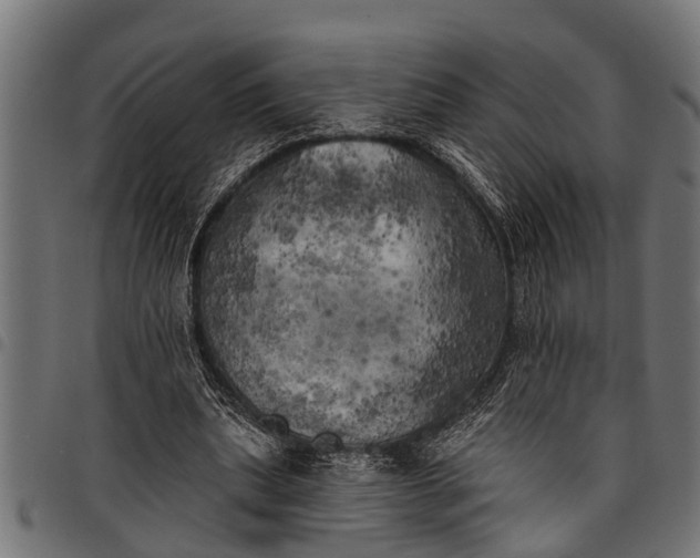 X0000097810439200803281102