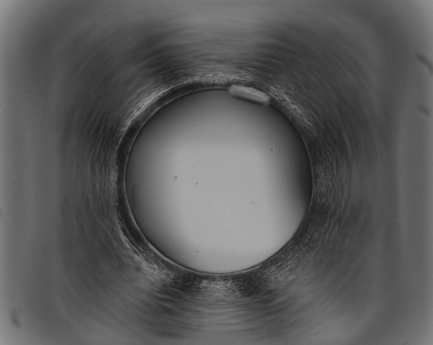 X0000097810440200803281102