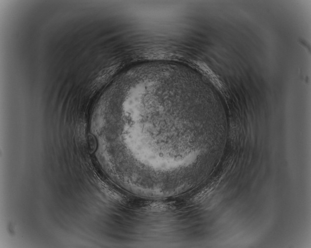 X0000097810441200803281102