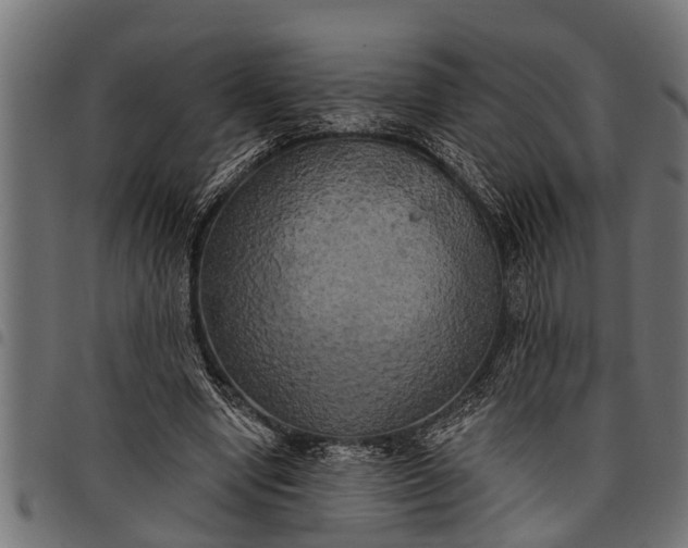 X0000097810442200803281102