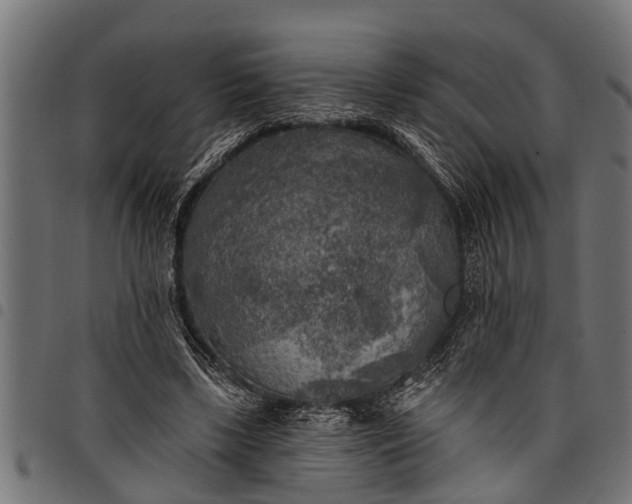 X0000097810443200803281102