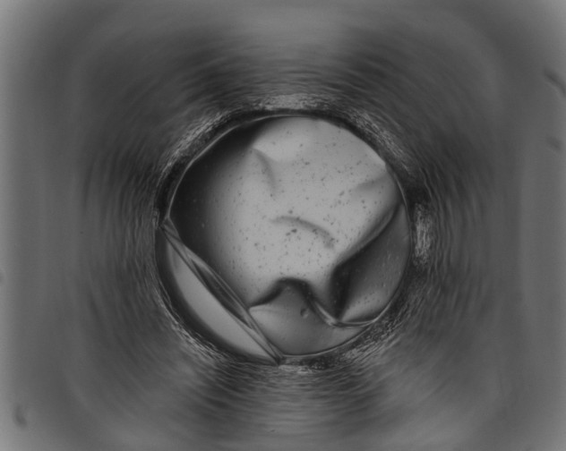 X0000097810444200803281102