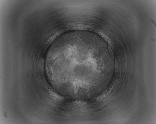 X0000097810445200803281102