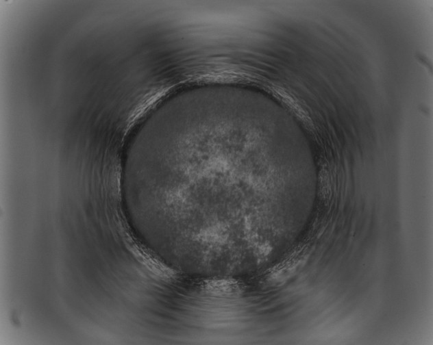 X0000097810446200803281102