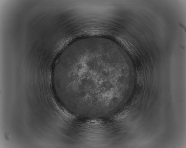 X0000097810447200803281102