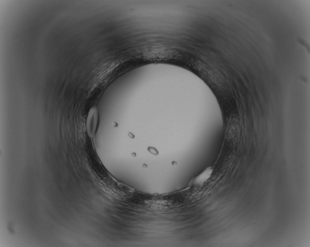 X0000097810448200803281102