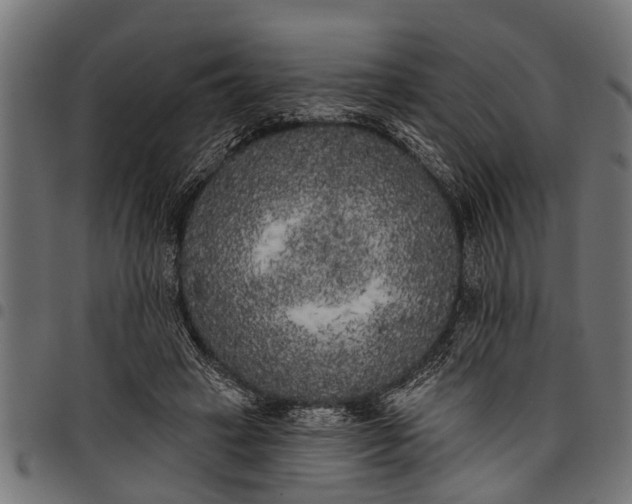 X0000097810449200803281102