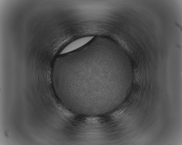 X0000097810450200803281102