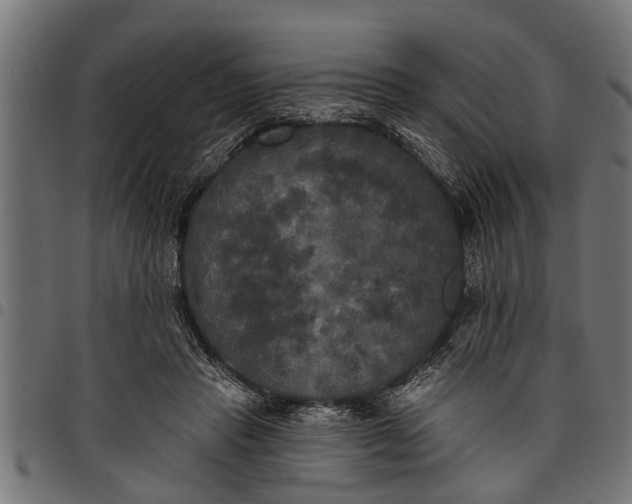 X0000097810453200803281102