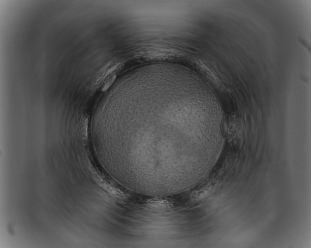 X0000097810454200803281102