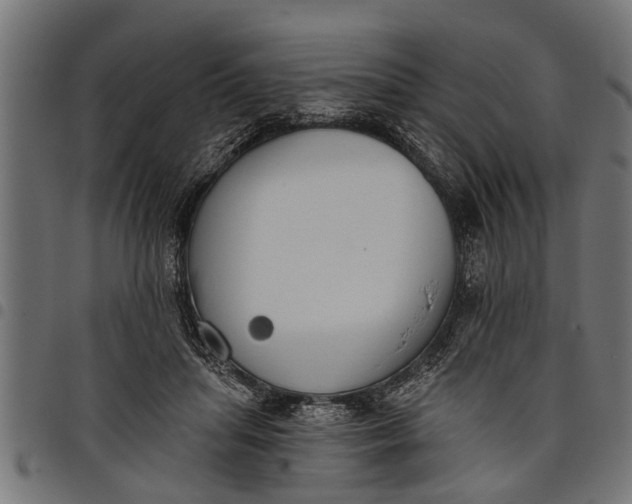 X0000097810455200803281102