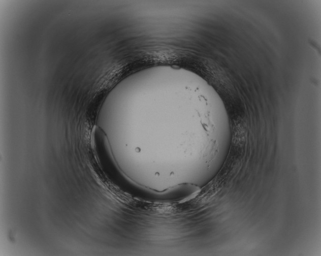 X0000097810456200803281102