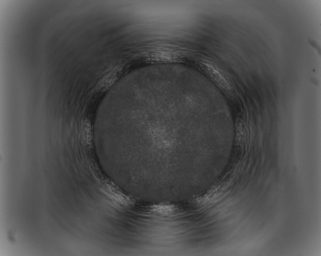 X0000097810457200803281102