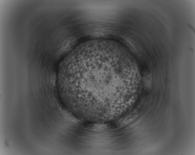 X0000097810458200803281102