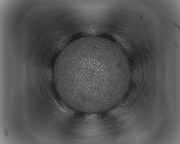 X0000097810459200803281102