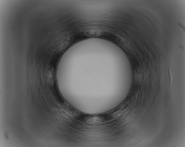 X0000097810460200803281102