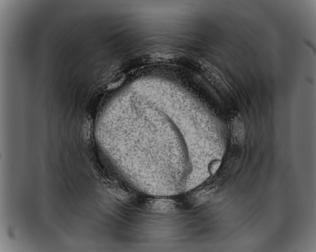 X0000097810463200803281102