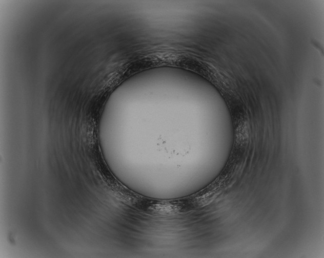 X0000097810464200803281102