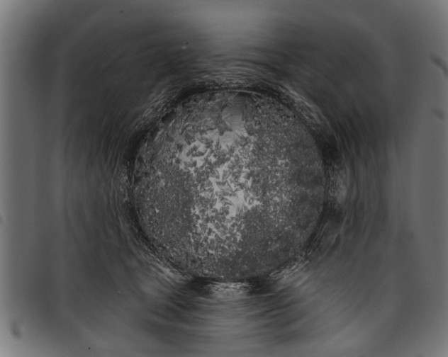 X0000097810465200803281102