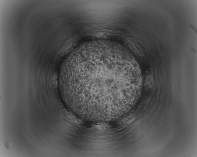 X0000097810466200803281102