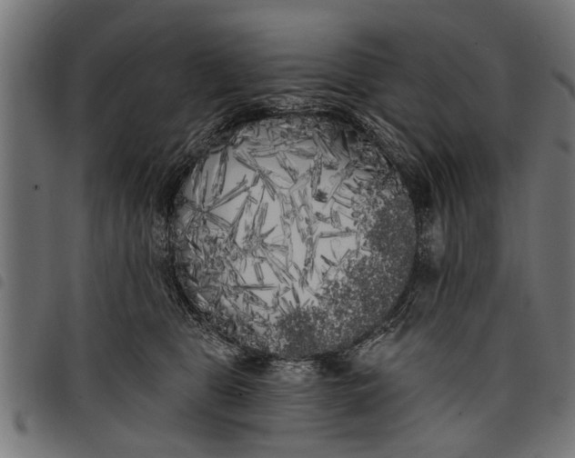 X0000097810469200803281102