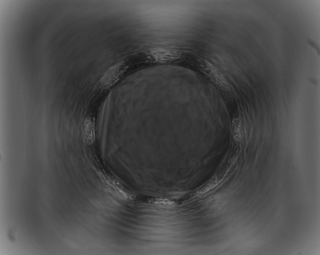 X0000097810471200803281102