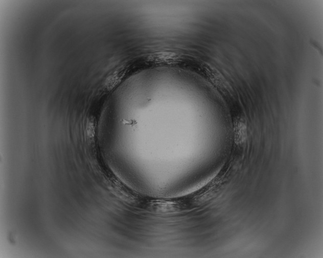 X0000097810472200803281102