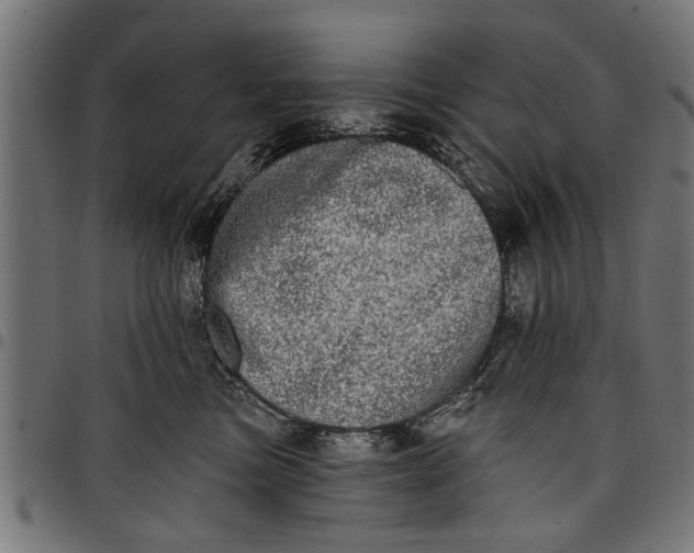 X0000097810473200803281102