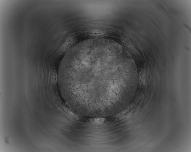 X0000097810474200803281102