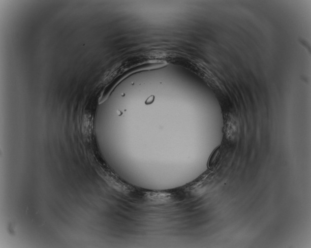 X0000097810476200803281102